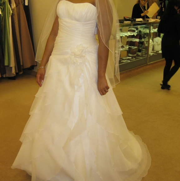 Demetrios Wedding Dress - Picture 4 of 12